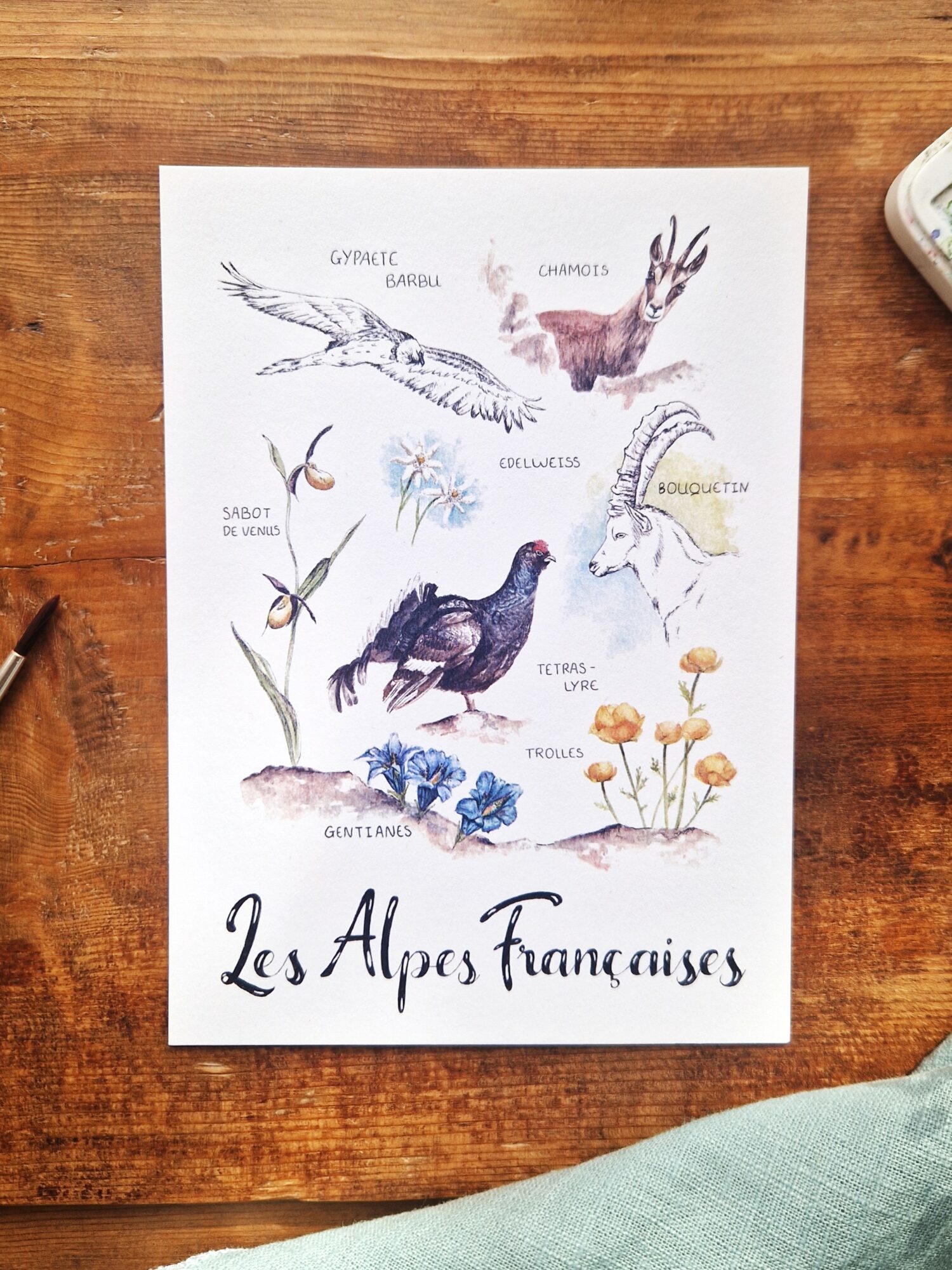 20251031_112102 La Faune et la Flore