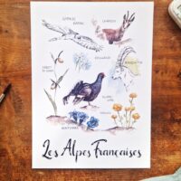 20251031_112102 La Faune et la Flore