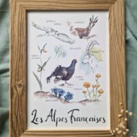 Faune et Flore La Faune et la Flore